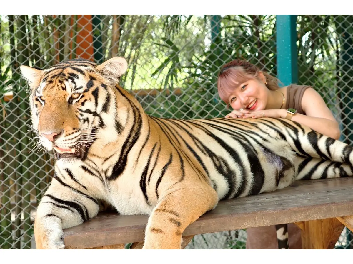 るらんの写真